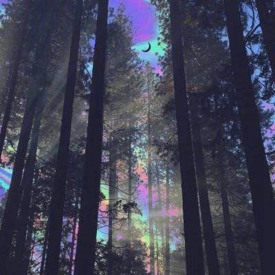 幻想江湖文字游戏下载